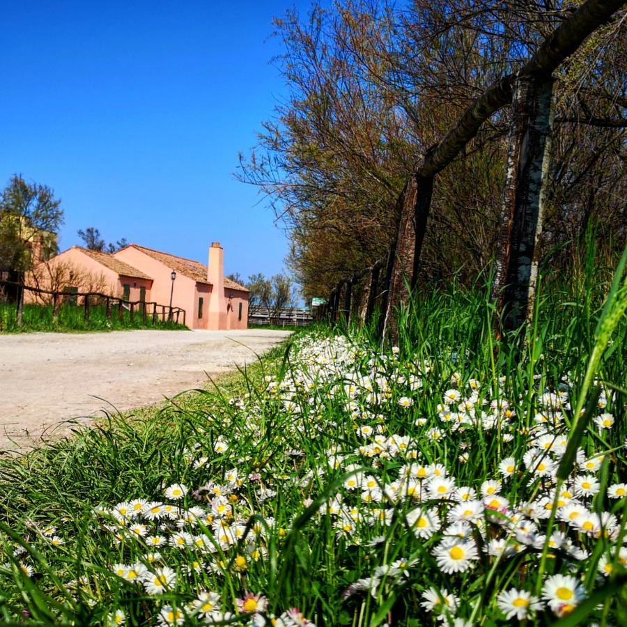 Residenza La Gallinella Comacchio Ngoại thất bức ảnh